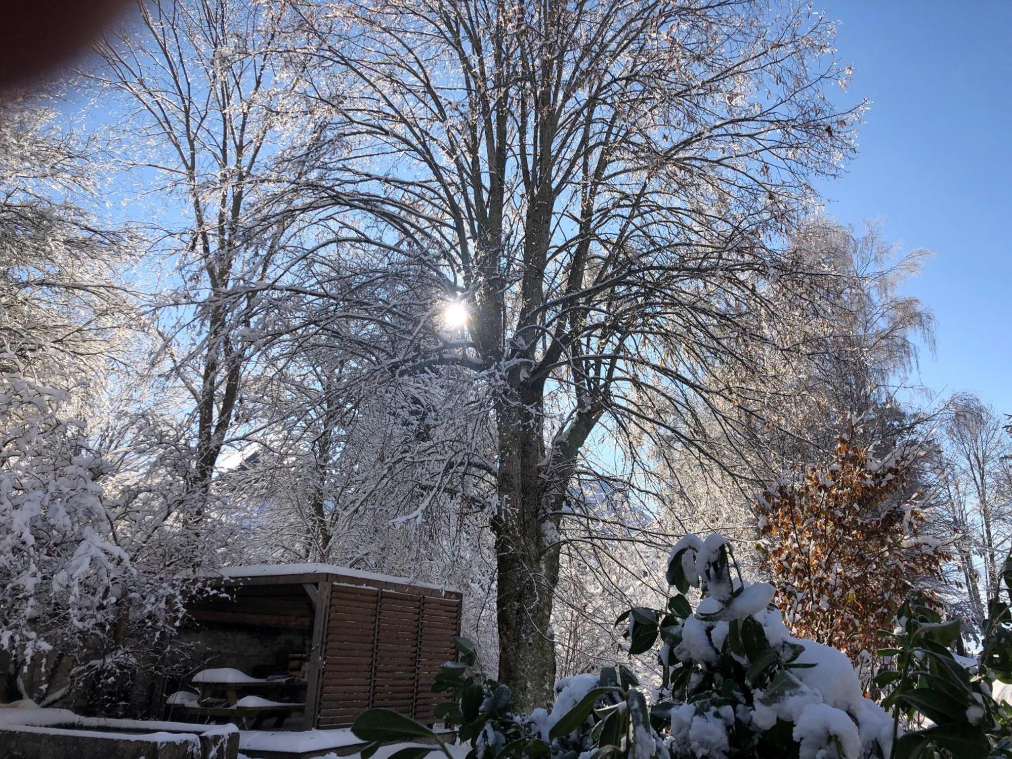 Ferme Des Deux Freres, Autrans, Vercors Exterior foto